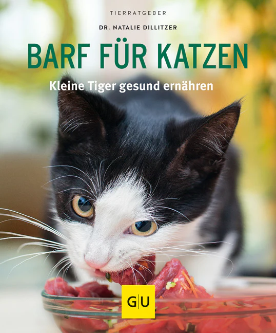 Vorschaubild 1