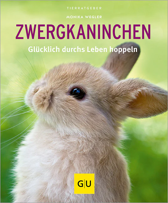 Vorschaubild 2