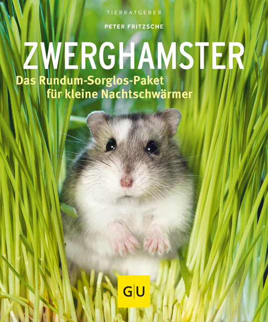 Vorschaubild 2