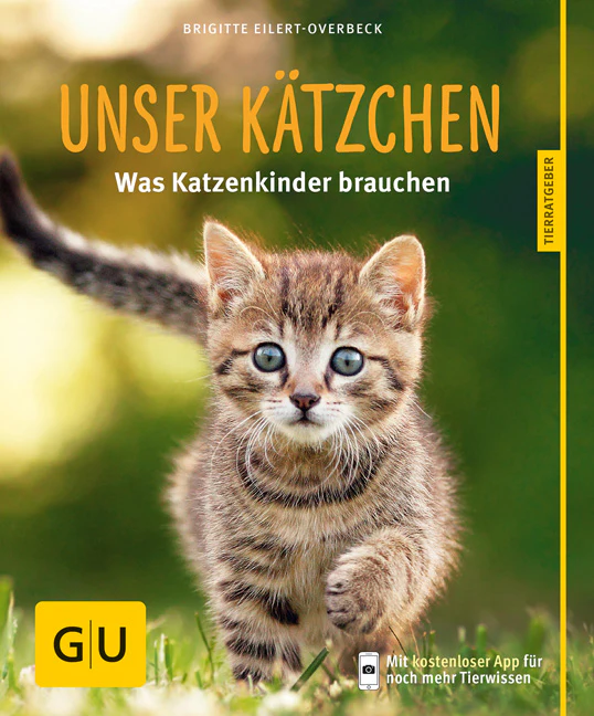 Vorschaubild 1