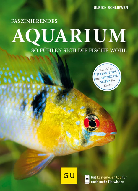 Vorschaubild 1