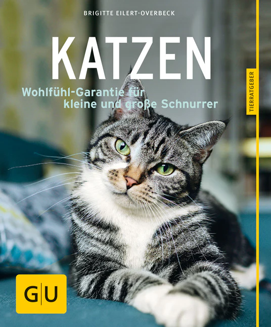 Vorschaubild 1