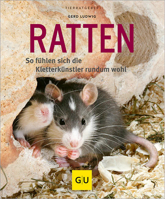 Vorschaubild 1