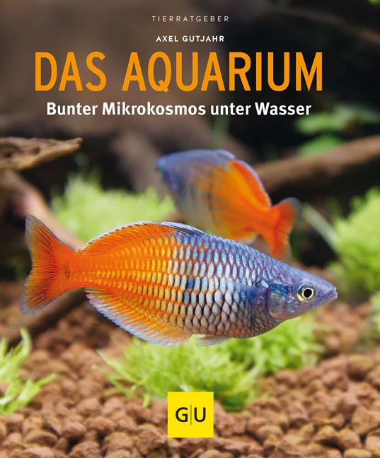Vorschaubild 1
