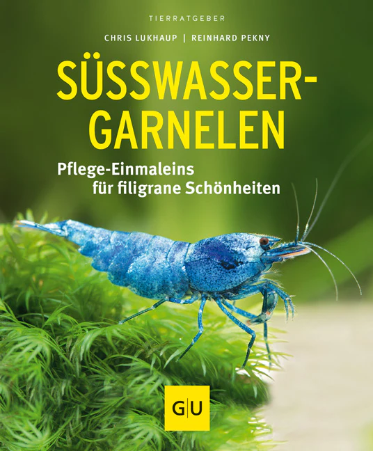 Vorschaubild 1