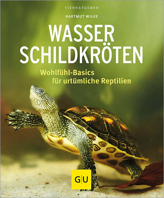Vorschaubild 1