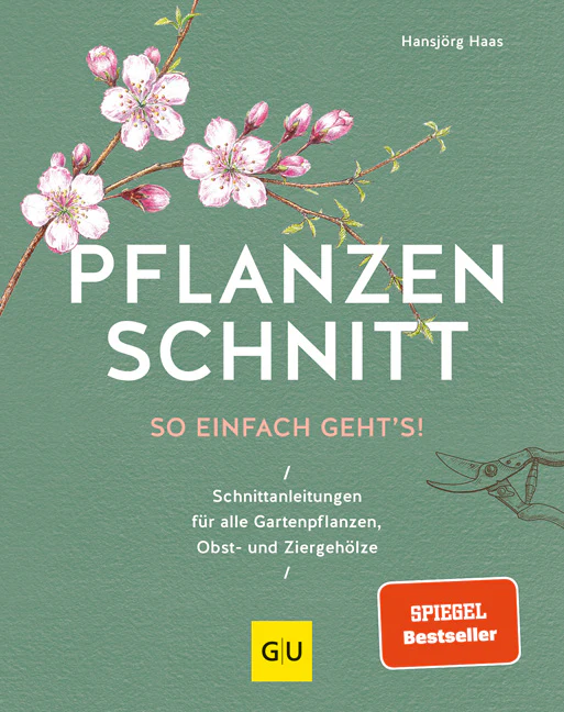 Vorschaubild 1