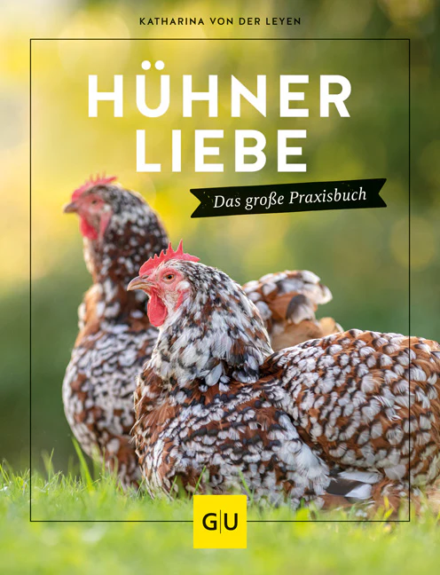 Vorschaubild 2