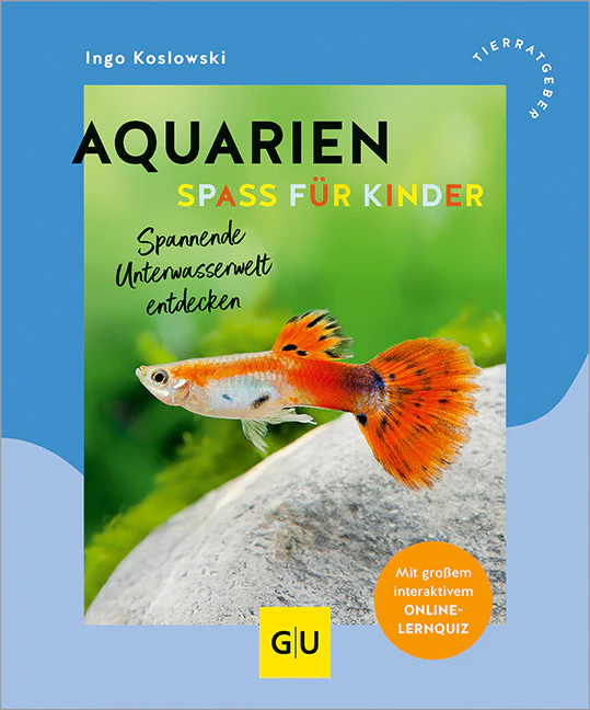 Vorschaubild 1