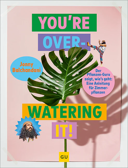 Vorschaubild 2
